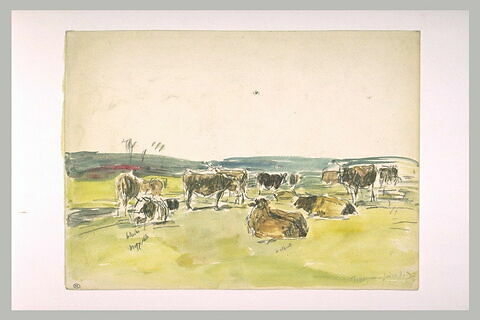 Troupeau de vaches dans un pâturage à Fervaques, image 2/2