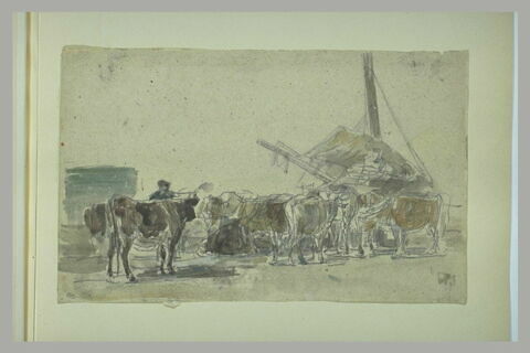 Troupeau de vaches sur un quai prêt à embarquer, image 1/1