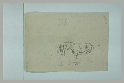 Etude de cheval, image 1/1