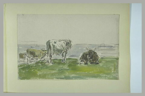 Etude de vaches dans une prairie, image 1/1