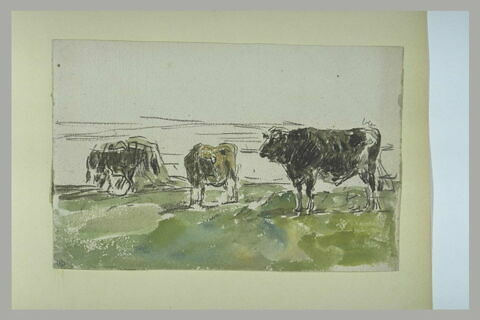 Etude de vaches dans une prairie, image 1/1