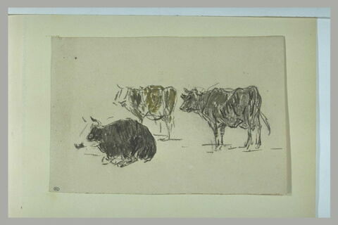 Trois vaches, dont une couchée, tournées vers la gauche, image 1/1
