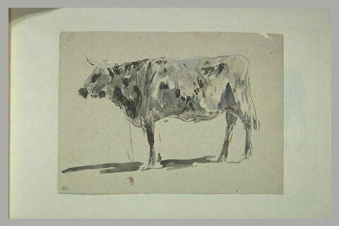 Vache blanche à taches noires, debout, de profil, image 1/1