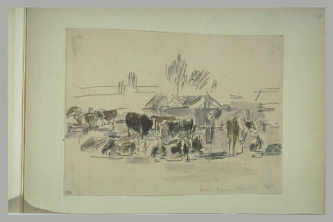 Etude de vaches dans un paysage, image 1/1