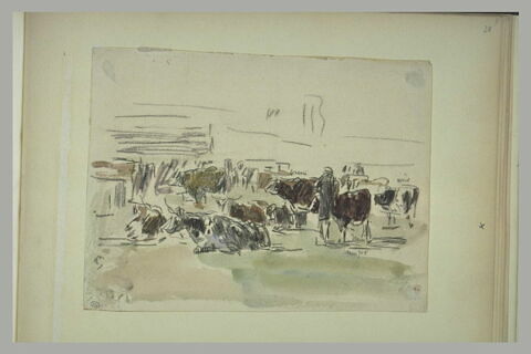 Troupeau de vaches, image 1/1