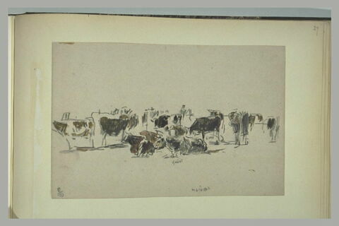 Troupeau de vaches, image 1/1