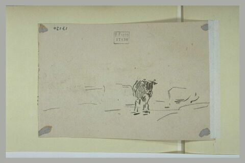 Vache debout, image 1/1