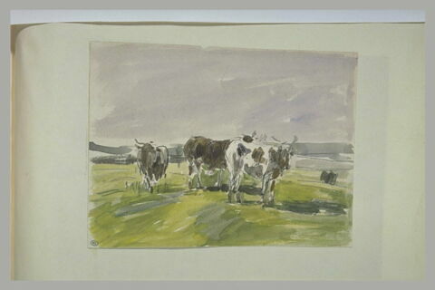 Etude de vaches dans une prairie, image 1/1