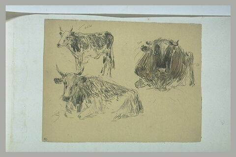 Une vache, debout, et deux boeufs couchés, image 1/1