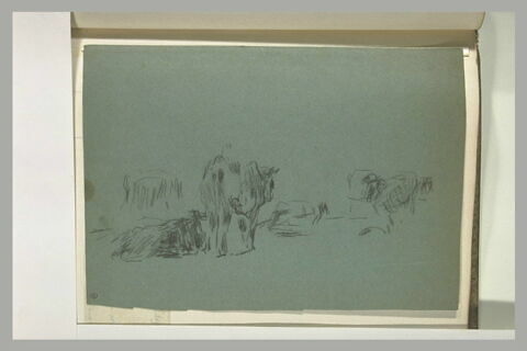 Etude de vaches dans un pâturage, image 1/1
