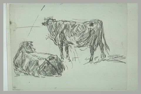 Etude de deux bovidés, image 1/1