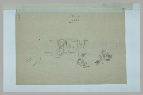 Vaches dans un pré, image 1/1