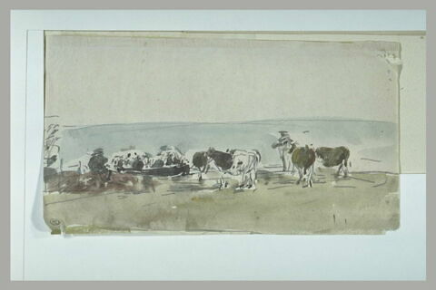 Troupeau de vaches au bord de la mer, image 1/1