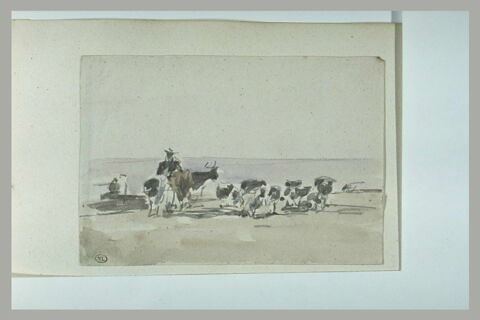 Un homme et un troupeau au bord de l'eau, image 1/1