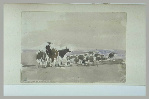 Un homme et un troupeau au bord de l'eau, image 1/1