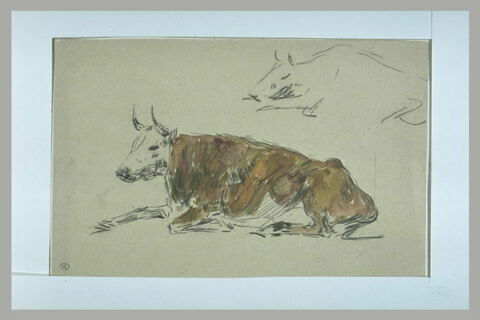 Etudes d'une vache couchée, vue de profil, image 1/1