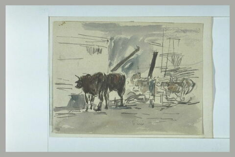 Bovidés sur un quai, image 1/1