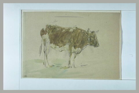 Vache jaune et blanche, image 1/1