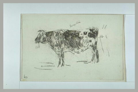 Une vache rousse, image 1/1