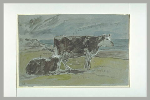 Deux vaches dans un herbage au bord de la mer, image 1/1