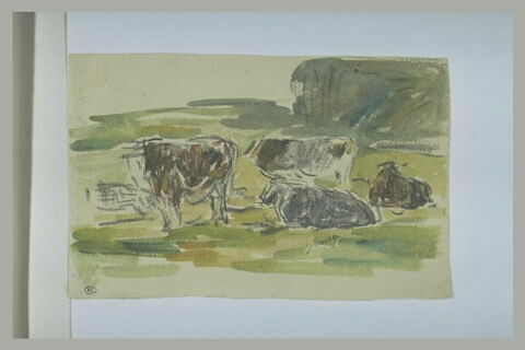 Boeufs, debout ou couchés, dans un herbage, image 1/1