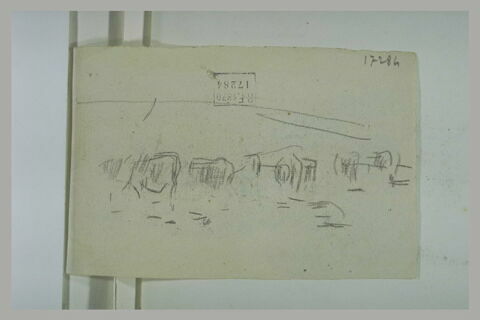 Troupeau dans un pré, image 1/1