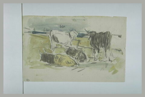 Quatre bovidés dans un herbage, image 1/1