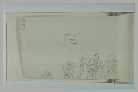 Frondaisons, image 1/1