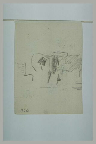 Etude de bovidés, image 1/1