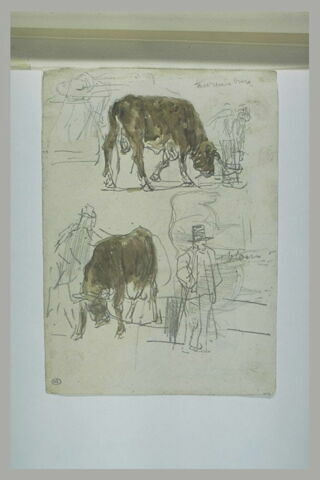 Etudes de bovidés et d'homme coiffé d'un haut de forme, image 1/1