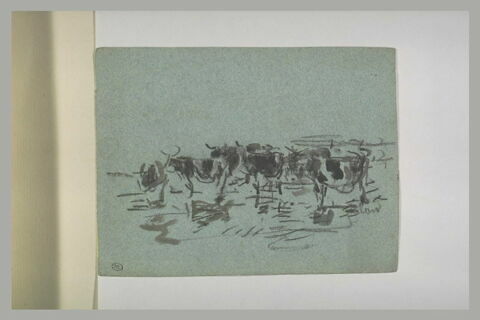 Troupeau en marche, vu de face, image 1/1