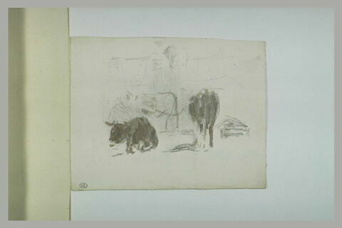 Etude de deux vaches, image 1/2