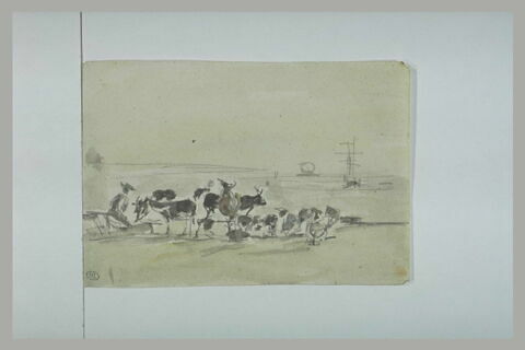 Troupeau sur un quai, image 1/1