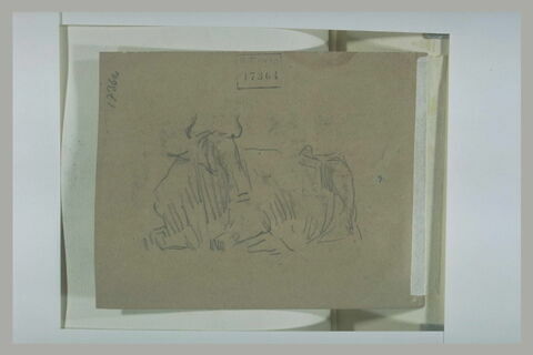 Vache couchée, image 1/1