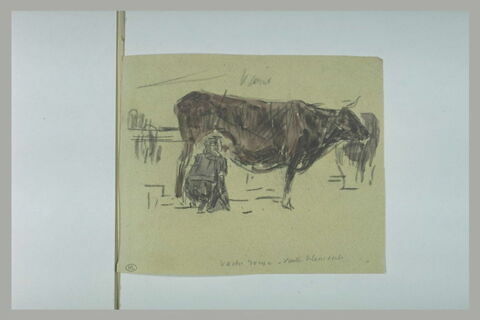 Femme en train de traire une vache, image 1/1