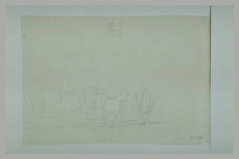Esquisse d'un troupeau de vaches, image 1/1