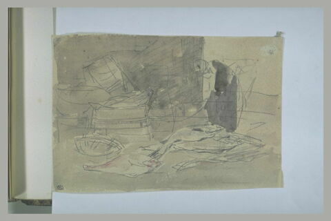 Ustensiles et poissons sur le sol, image 1/1