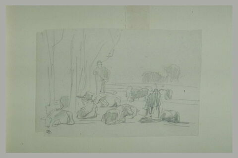 Berger et troupeau bovin dans un paysage, image 1/1