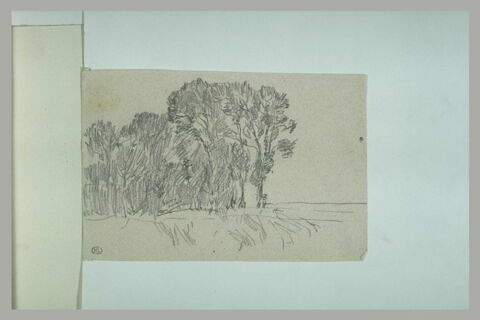 Massif d'arbres, image 1/1