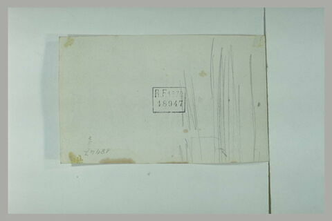 Croquis, image 1/1