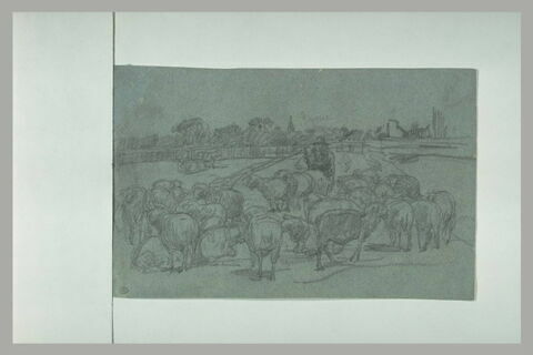 Troupeau de moutons, image 1/1