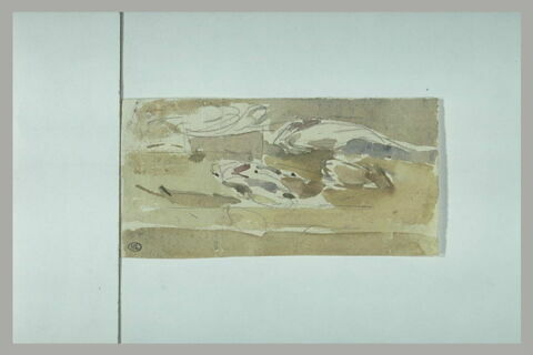 Poissons, image 1/1