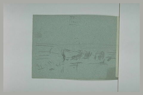 Animaux couchés, image 1/1