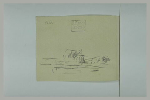 Animaux, image 1/1
