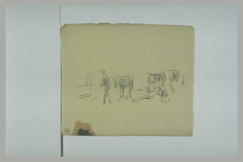Animaux, image 1/1