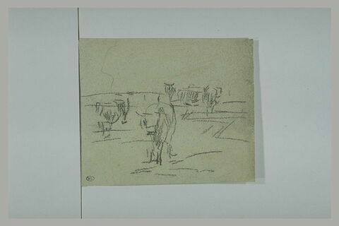 Animaux, image 1/1