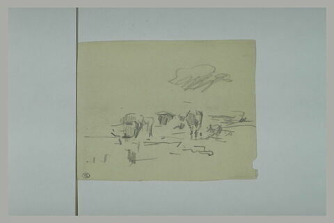 Animaux au pré, image 1/1