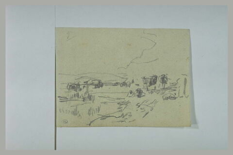 Troupeau dans un paysage, image 1/1