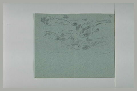 Etude de poissons, image 1/1