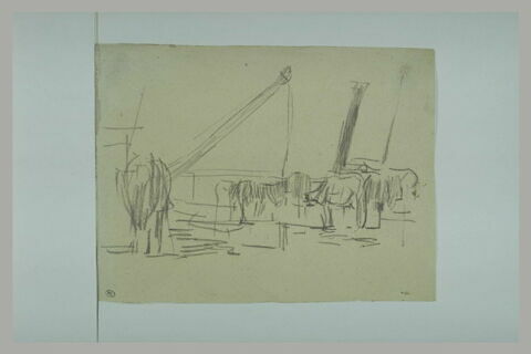 Bovidés sur un quai, image 1/1